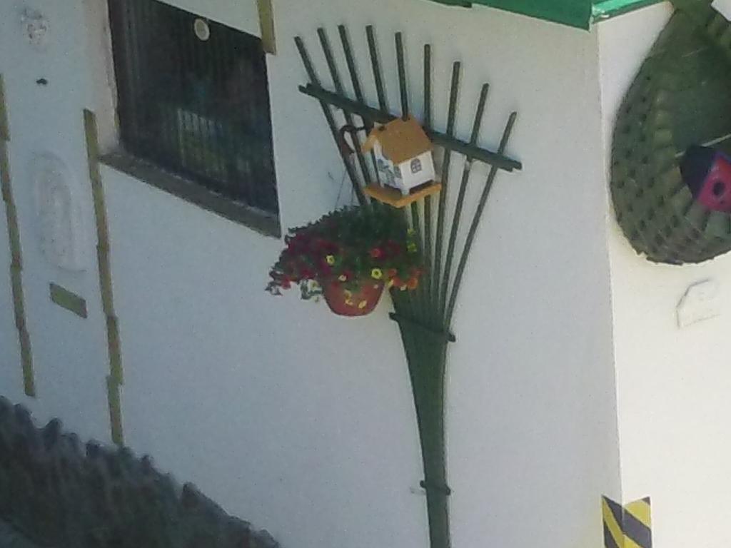 Beatka Hotel Świeradów-Zdrój Buitenkant foto